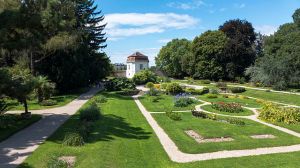 Vienna Botanic Garden (Wiki Commons)